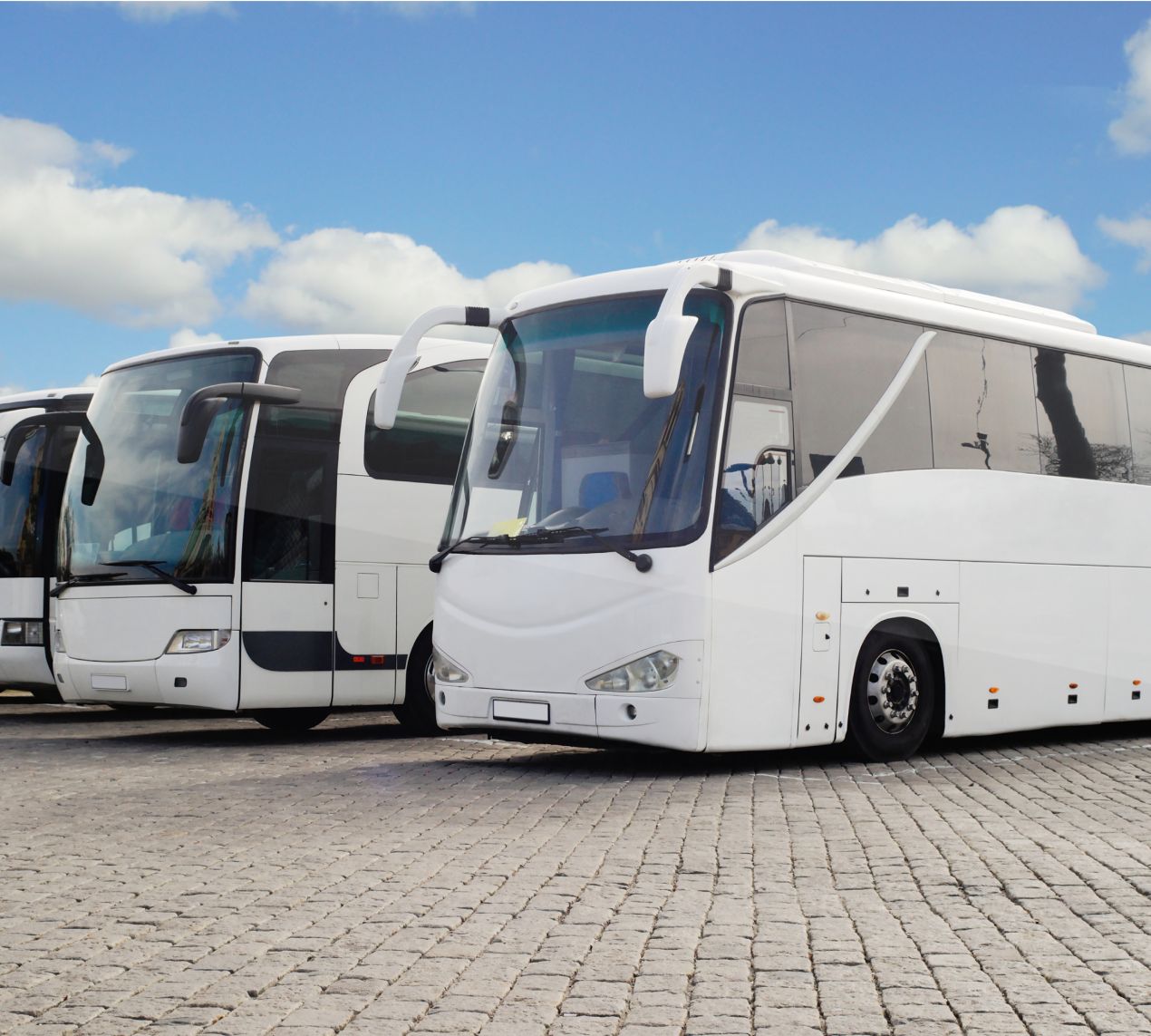 Flota de autocares blancos estacionados